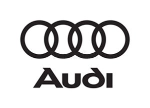 Logo Audi Aliantis Hopital Saint Camille Logo